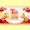 Ý tưởng thiết kế trang trí sự kiện tết 2026 mẫu 01